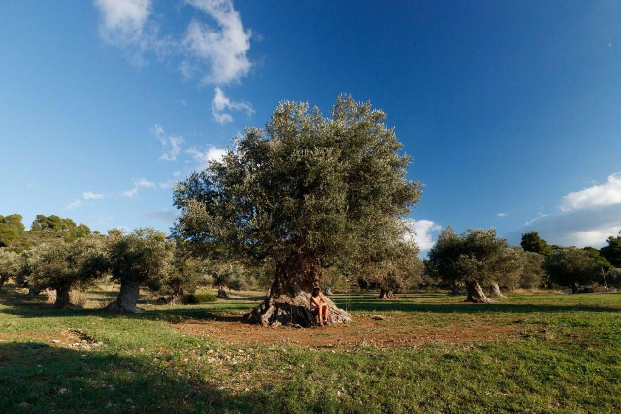 Kouvelia Country Home Luxury Villa Rental Nerotriviá エクステリア 写真