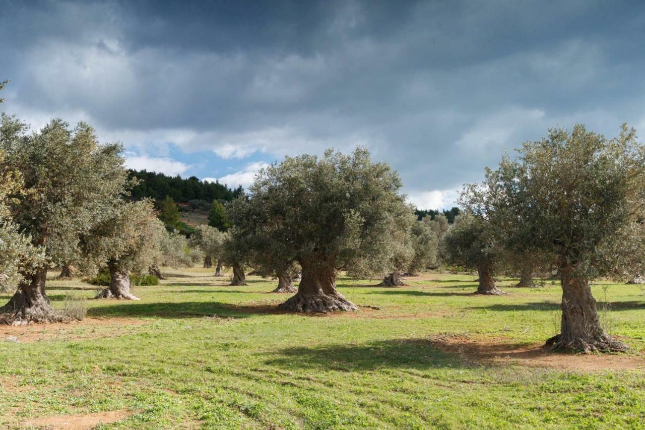 Kouvelia Country Home Luxury Villa Rental Nerotriviá エクステリア 写真